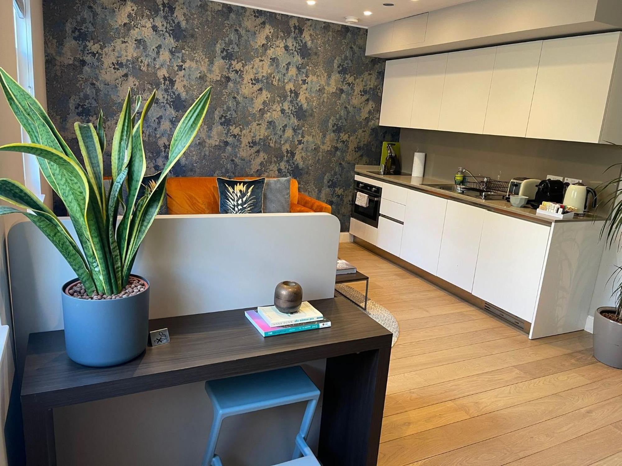Mirabilis Apartments - Bayham Street 伦敦 外观 照片